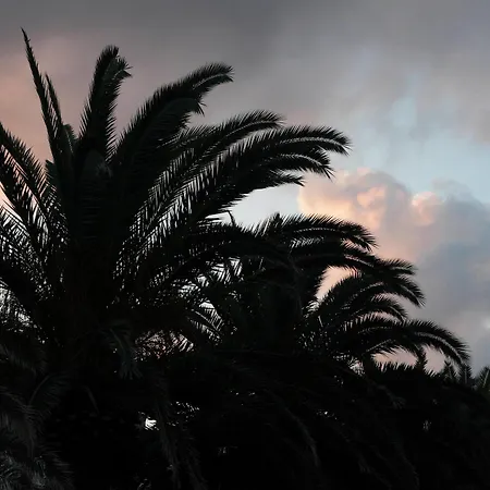 Hotel Piccolo Moneglia