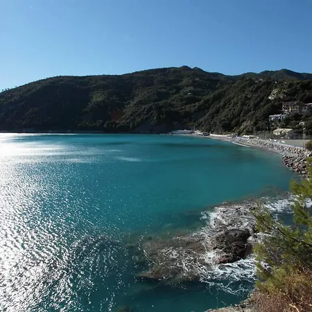 Piccolo Moneglia